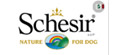 Schesir